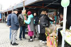 DSC_5243_wynik