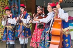 003-5_wynik
