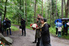 Image15