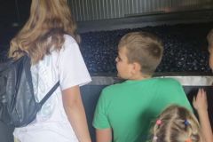 Wyjazd-edukacyjny-3_wynik