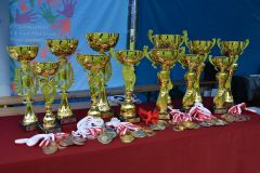 Gminne-zawody-sportowo-pozarnicze-1